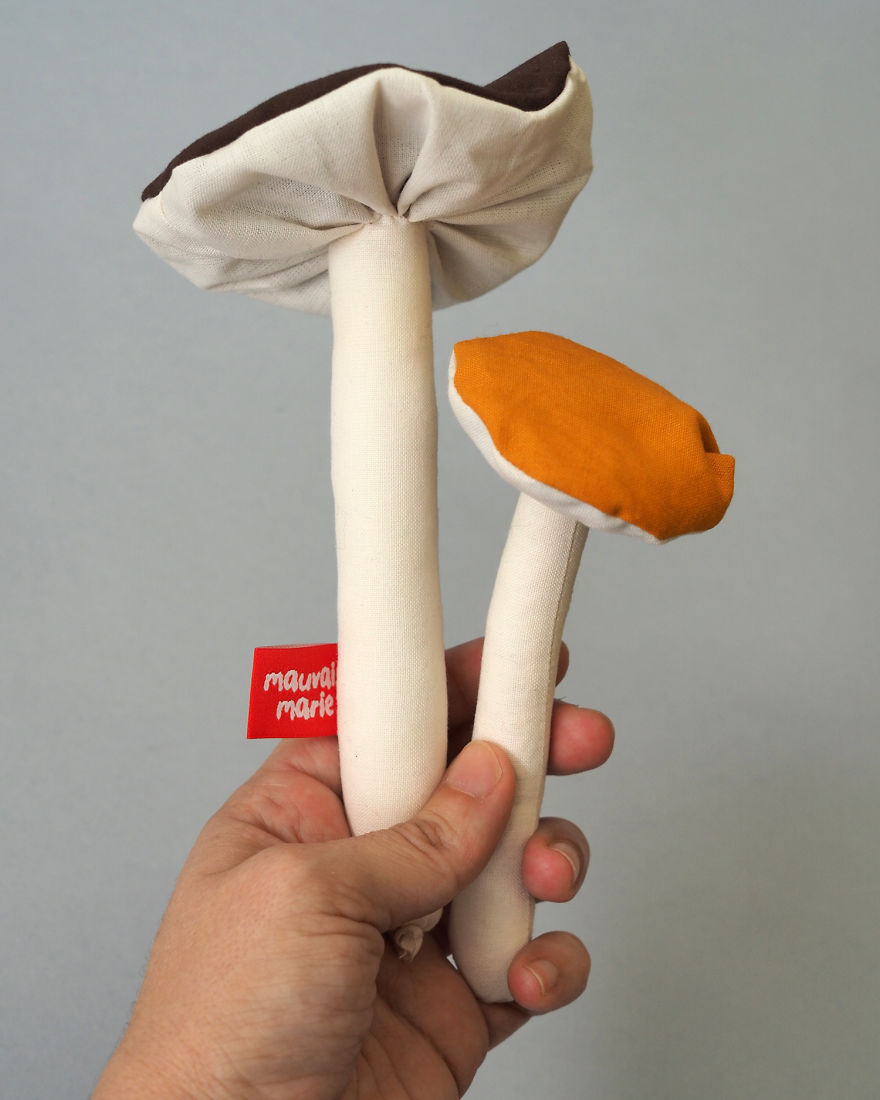 Who Would Known Having Mushrooms In Your Closet Could Smell So Nice?