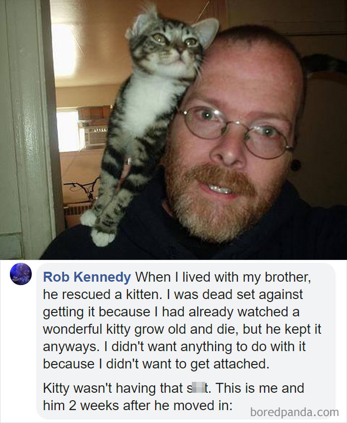 Parents-Didnt-Want-Cat-Now-Loves-Them