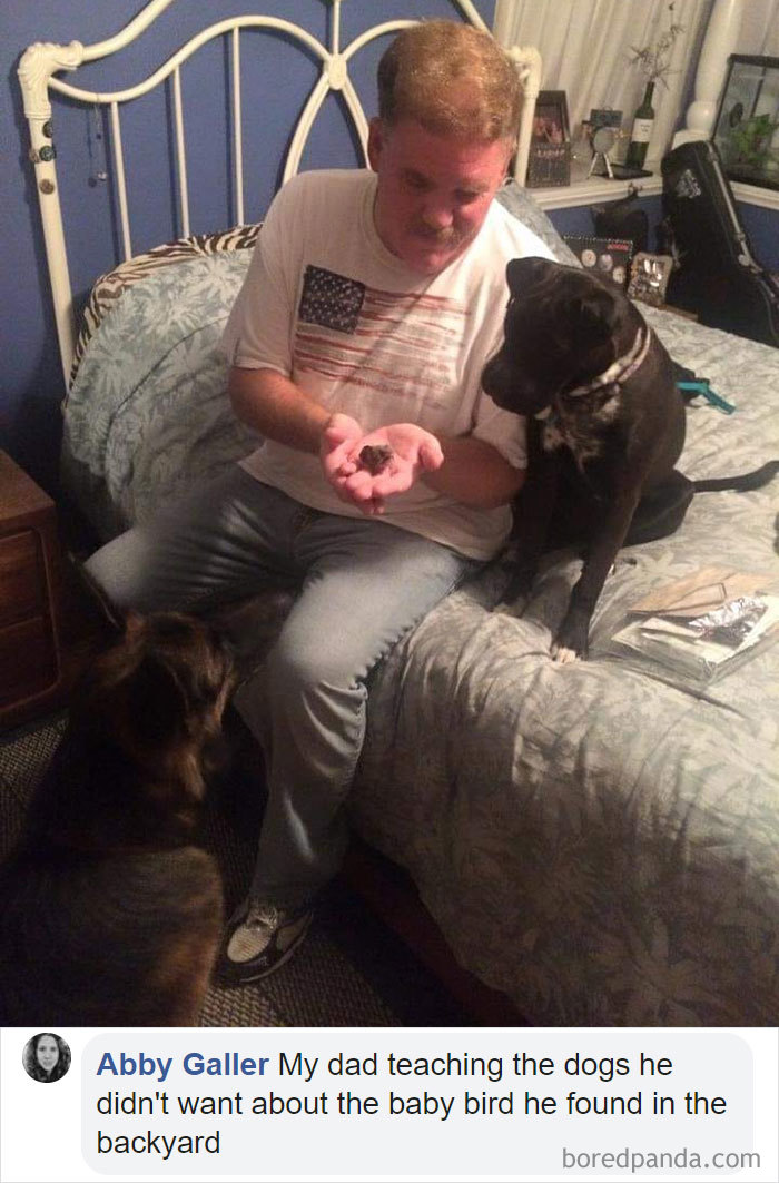 Parents-Didnt-Want-Cat-Now-Loves-Them