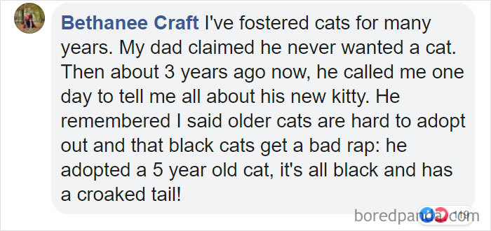 Parents-Didnt-Want-Cat-Now-Loves-Them