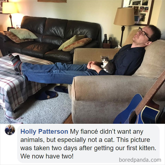 Parents-Didnt-Want-Cat-Now-Loves-Them