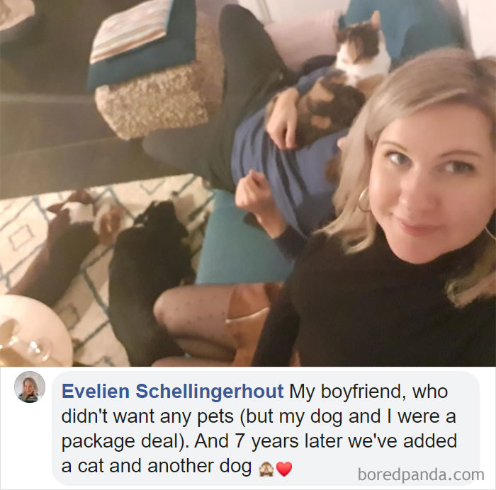 Parents-Didnt-Want-Cat-Now-Loves-Them