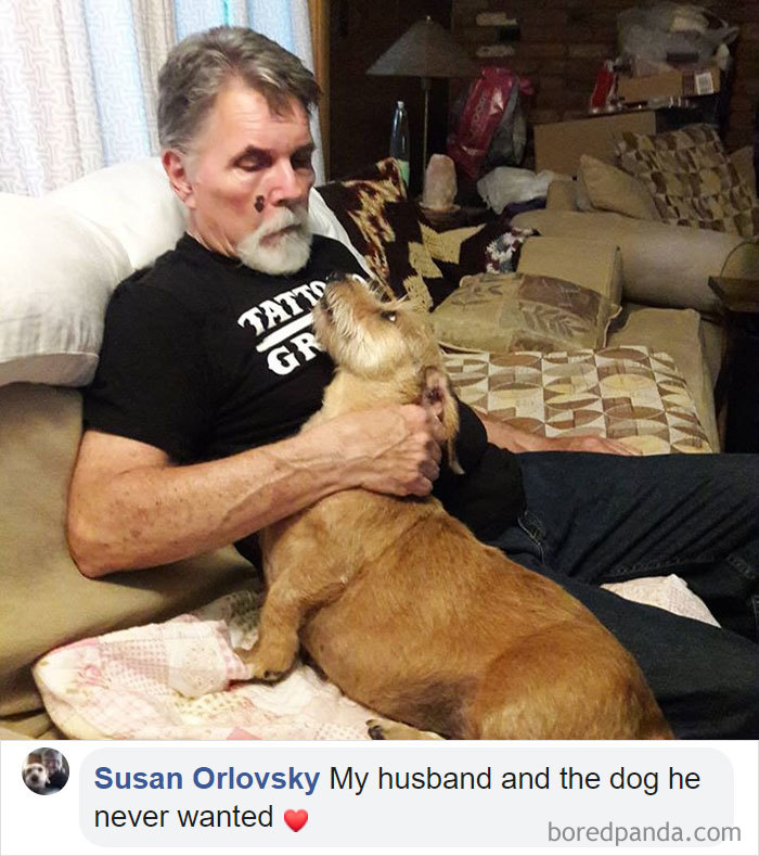 Parents-Didnt-Want-Cat-Now-Loves-Them