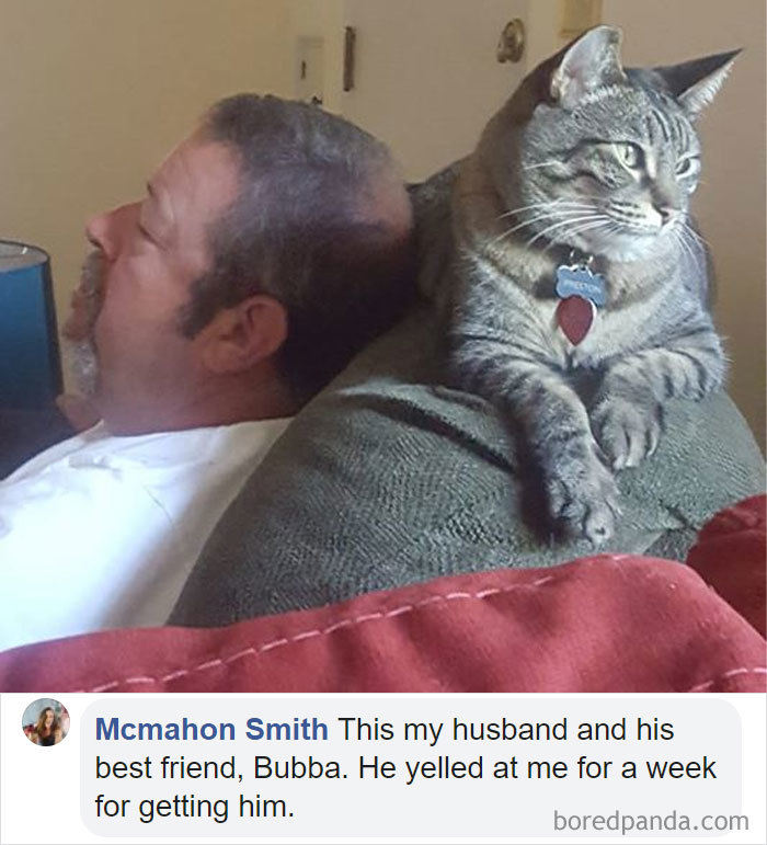 Parents-Didnt-Want-Cat-Now-Loves-Them