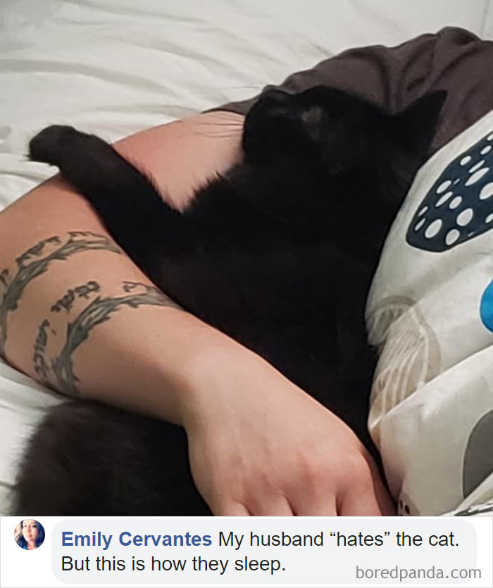 Parents-Didnt-Want-Cat-Now-Loves-Them