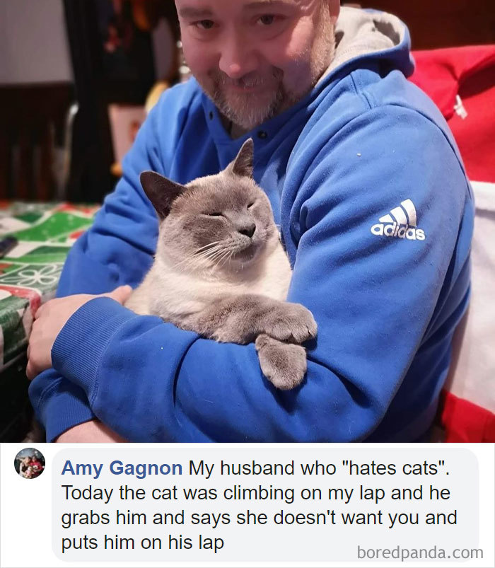 Parents-Didnt-Want-Cat-Now-Loves-Them