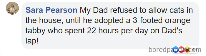 Parents-Didnt-Want-Cat-Now-Loves-Them