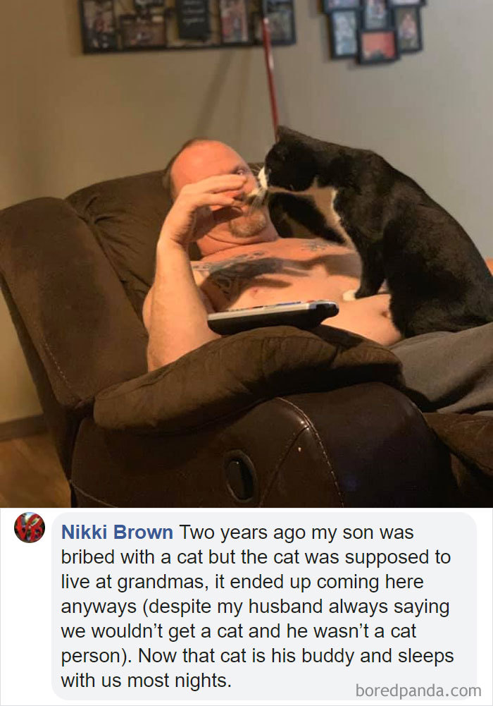 Parents-Didnt-Want-Cat-Now-Loves-Them
