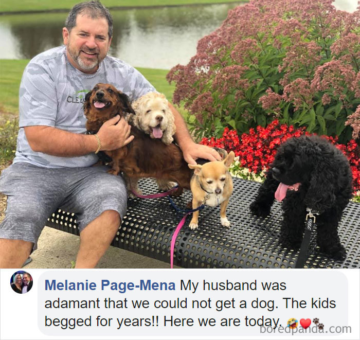 Parents-Didnt-Want-Cat-Now-Loves-Them