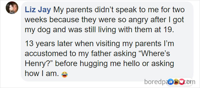 Parents-Didnt-Want-Cat-Now-Loves-Them