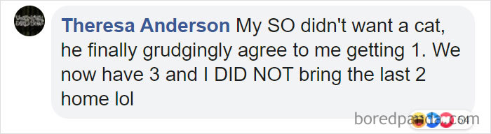 Parents-Didnt-Want-Cat-Now-Loves-Them