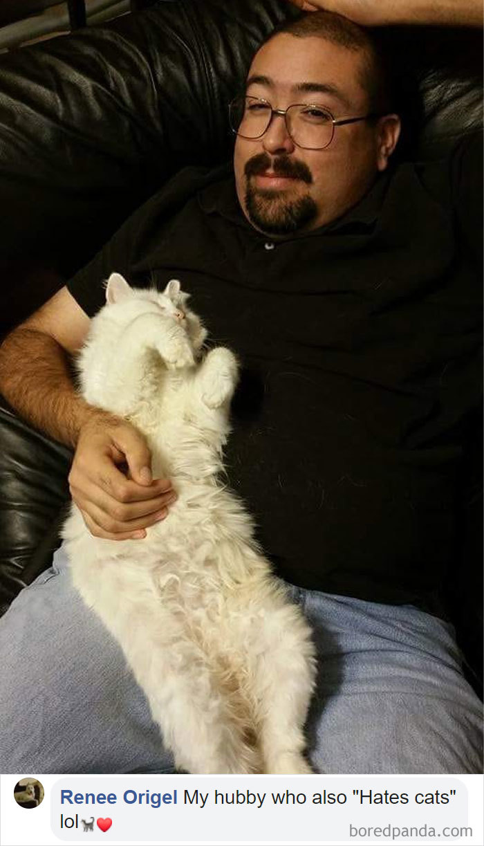 Parents-Didnt-Want-Cat-Now-Loves-Them