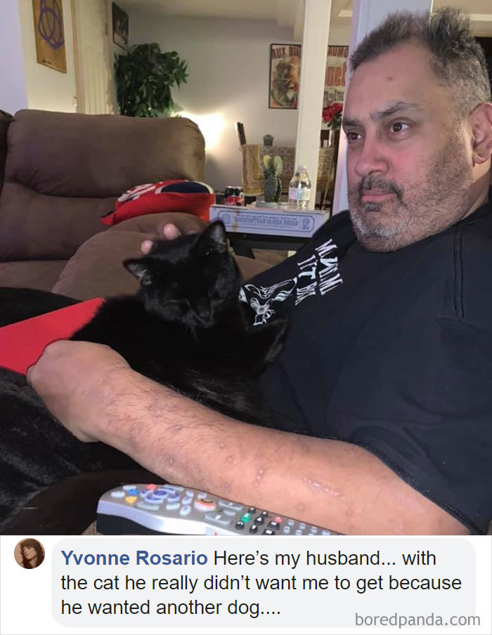 Parents-Didnt-Want-Cat-Now-Loves-Them