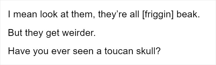 People Are Suddenly Realizing Toucans Are Weirder Than They Thought, Share Facts About Them In A Viral Thread