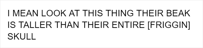 People Are Suddenly Realizing Toucans Are Weirder Than They Thought, Share Facts About Them In A Viral Thread People Are Suddenly Realizing Toucans Are Weirder Than They Thought, Share Facts About Them In A Viral Thread