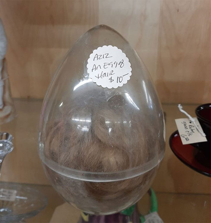 Ladies And Gentlemen I Give You An Egg Of Hair!