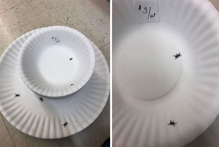 You Know Thrifters Always Worry About What We’re Touching, So I Will Admit These Bowls And Plates Totally Threw Me Until I Took A Second Look. I Picked Them Up And Was Delighted To Discover They Were Ceramic