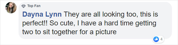 Woman Finally Manages To Get Her 17 Pets To Sit Still For A Photo
Woman Finally Manages To Get Her 17 Pets To Sit Still For A Photo