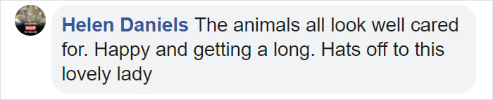 Woman Finally Manages To Get Her 17 Pets To Sit Still For A Photo
Woman Finally Manages To Get Her 17 Pets To Sit Still For A Photo