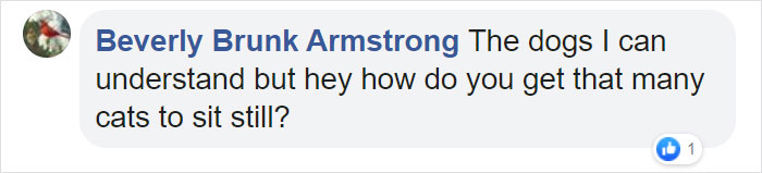 Woman Finally Manages To Get Her 17 Pets To Sit Still For A Photo
