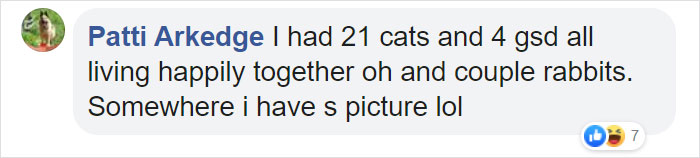 Woman Finally Manages To Get Her 17 Pets To Sit Still For A Photo
Woman Finally Manages To Get Her 17 Pets To Sit Still For A Photo