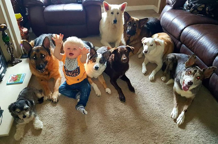 Woman Finally Manages To Get Her 17 Pets To Sit Still For A Photo
Woman Finally Manages To Get Her 17 Pets To Sit Still For A Photo