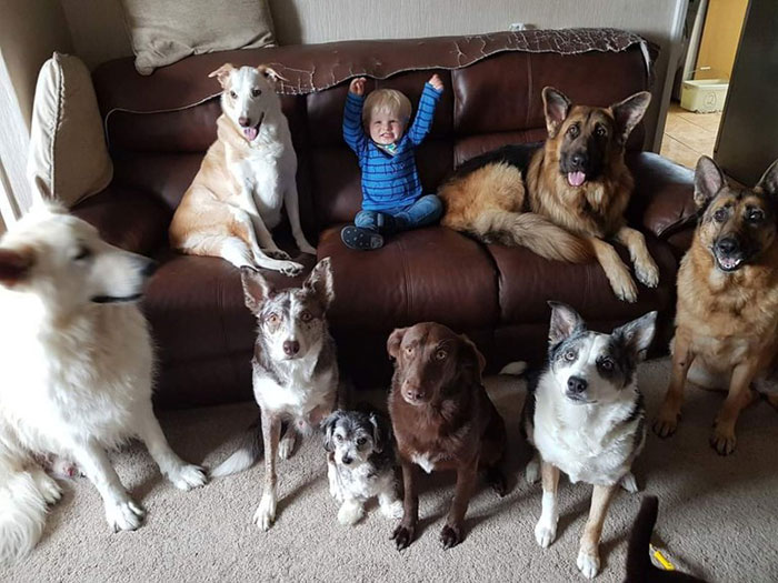 Woman Finally Manages To Get Her 17 Pets To Sit Still For A Photo
Woman Finally Manages To Get Her 17 Pets To Sit Still For A Photo