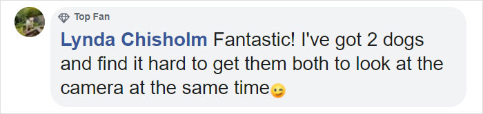 Woman Finally Manages To Get Her 17 Pets To Sit Still For A Photo
Woman Finally Manages To Get Her 17 Pets To Sit Still For A Photo