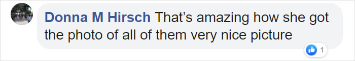 Woman Finally Manages To Get Her 17 Pets To Sit Still For A Photo
Woman Finally Manages To Get Her 17 Pets To Sit Still For A Photo