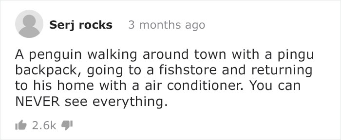 This Rescued King Penguin Loved Going To The Fish Market So Much That His Family Taught Him How To Buy Fish On His Own This Rescued King Penguin Loved Going To The Fish Market So Much That His Family Taught Him How To Buy Fish On His Own