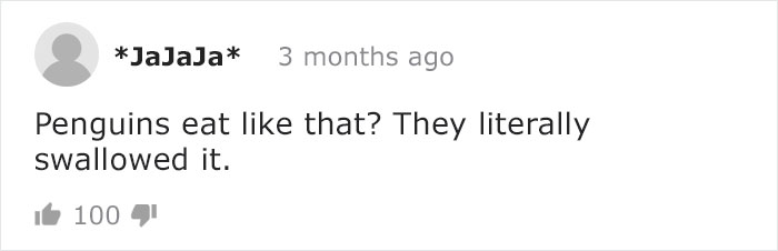 This Rescued King Penguin Loved Going To The Fish Market So Much That His Family Taught Him How To Buy Fish On His Own