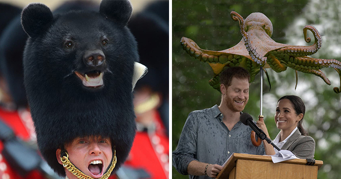 Someone Is Photoshopping Animals Everywhere And People Want More (35 Pics)