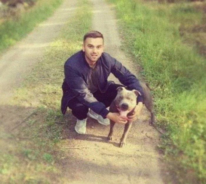 Woman Was Scared Of Neighbor's Pit Bull, Until He Saved Her When She Was In Trouble Woman Was Scared Of Neighbor's Pit Bull, Until He Saved Her When She Was In Trouble