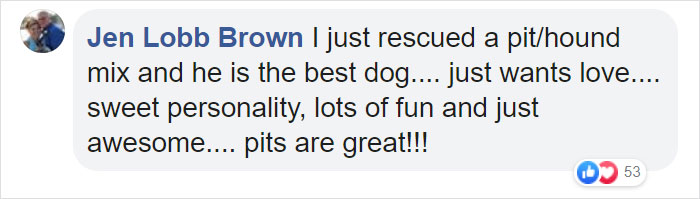 Woman Was Scared Of Neighbor's Pit Bull, Until He Saved Her When She Was In Trouble