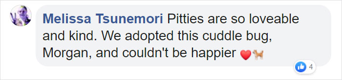 Woman Was Scared Of Neighbor's Pit Bull, Until He Saved Her When She Was In Trouble