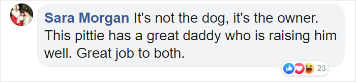 Woman Was Scared Of Neighbor's Pit Bull, Until He Saved Her When She Was In Trouble