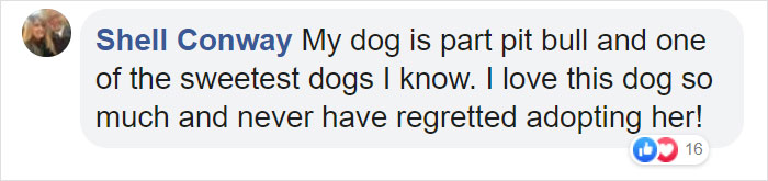Woman Was Scared Of Neighbor's Pit Bull, Until He Saved Her When She Was In Trouble Woman Was Scared Of Neighbor's Pit Bull, Until He Saved Her When She Was In Trouble