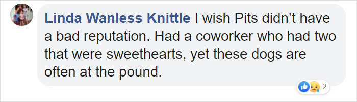 Woman Was Scared Of Neighbor's Pit Bull, Until He Saved Her When She Was In Trouble Woman Was Scared Of Neighbor's Pit Bull, Until He Saved Her When She Was In Trouble