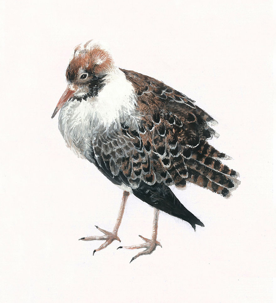 One Of My Realistic Painted Animals For Brno Zoo In The Czech Republic