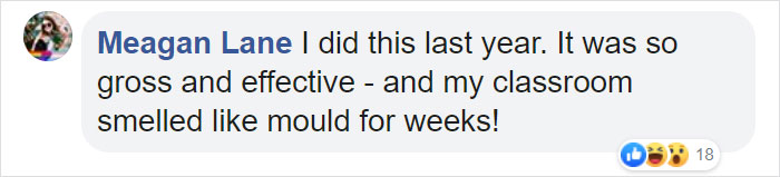 Elementary School's Science Experiment With White Bread Is Going Viral Elementary School's Science Experiment With White Bread Is Going Viral