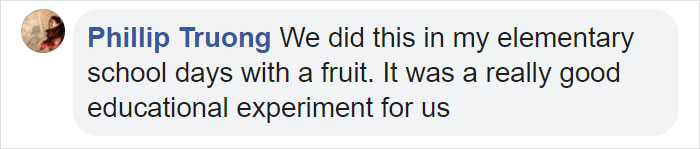 Elementary School's Science Experiment With White Bread Is Going Viral