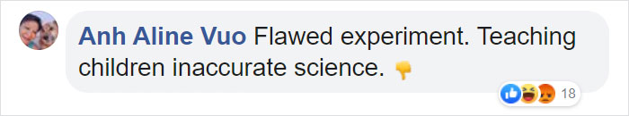 Elementary School's Science Experiment With White Bread Is Going Viral