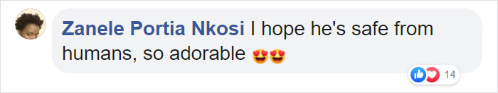 This Ridiculously Photogenic Baby Seal Will Steal Your Heart