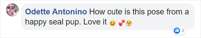 This Ridiculously Photogenic Baby Seal Will Steal Your Heart