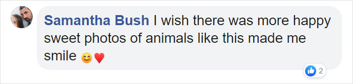 This Ridiculously Photogenic Baby Seal Will Steal Your Heart