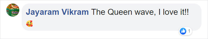 This Ridiculously Photogenic Baby Seal Will Steal Your Heart