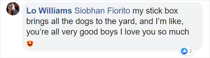 Man Builds A Stick Library For Every Dog At The Park Man Builds A Stick Library For Every Dog At The Park