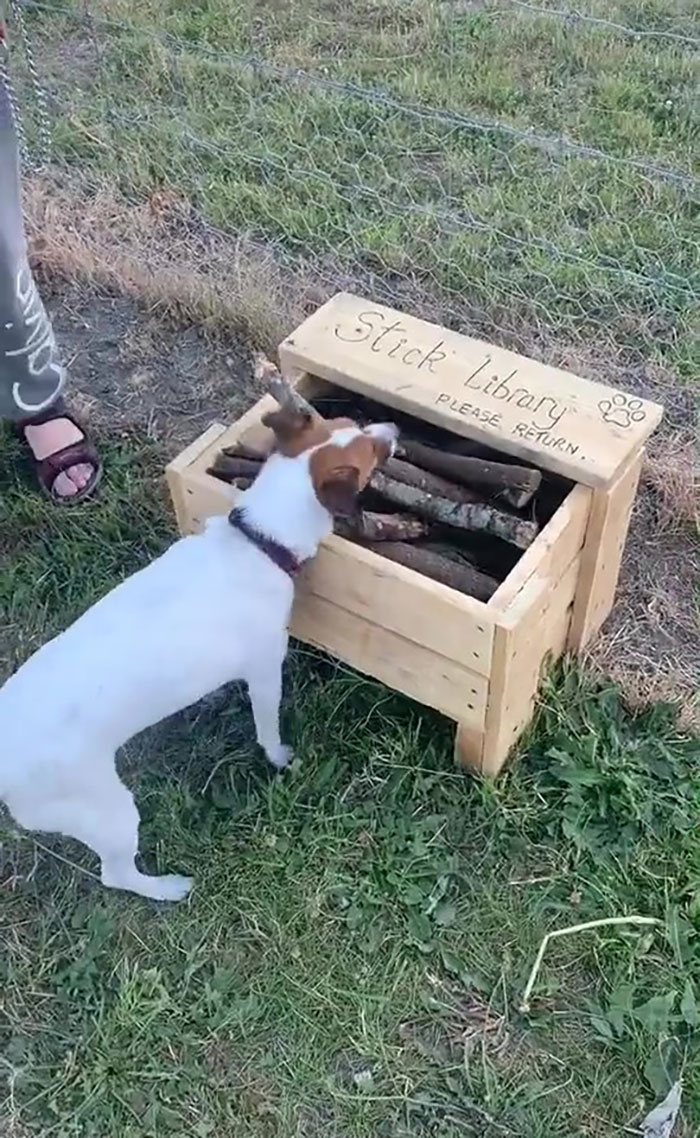 Man Builds A Stick Library For Every Dog At The Park Man Builds A Stick Library For Every Dog At The Park