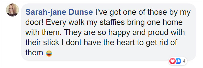 Man Builds A Stick Library For Every Dog At The Park Man Builds A Stick Library For Every Dog At The Park