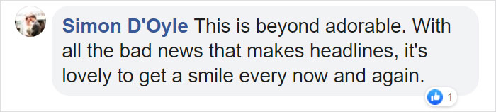 Man Builds A Stick Library For Every Dog At The Park